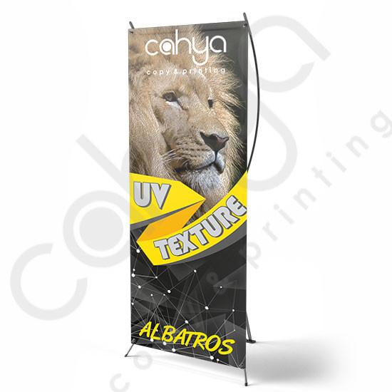 X Banner Albatros 160 cm x 60 cm Texture