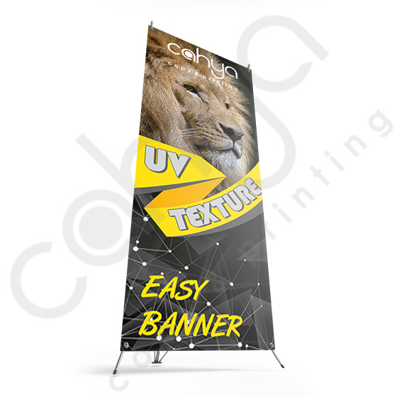 X Banner Albatros 160 cm x 60 cm Texture